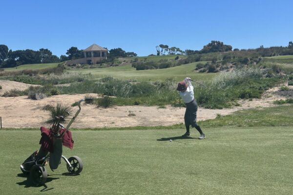 top swing swing Truda Rail !